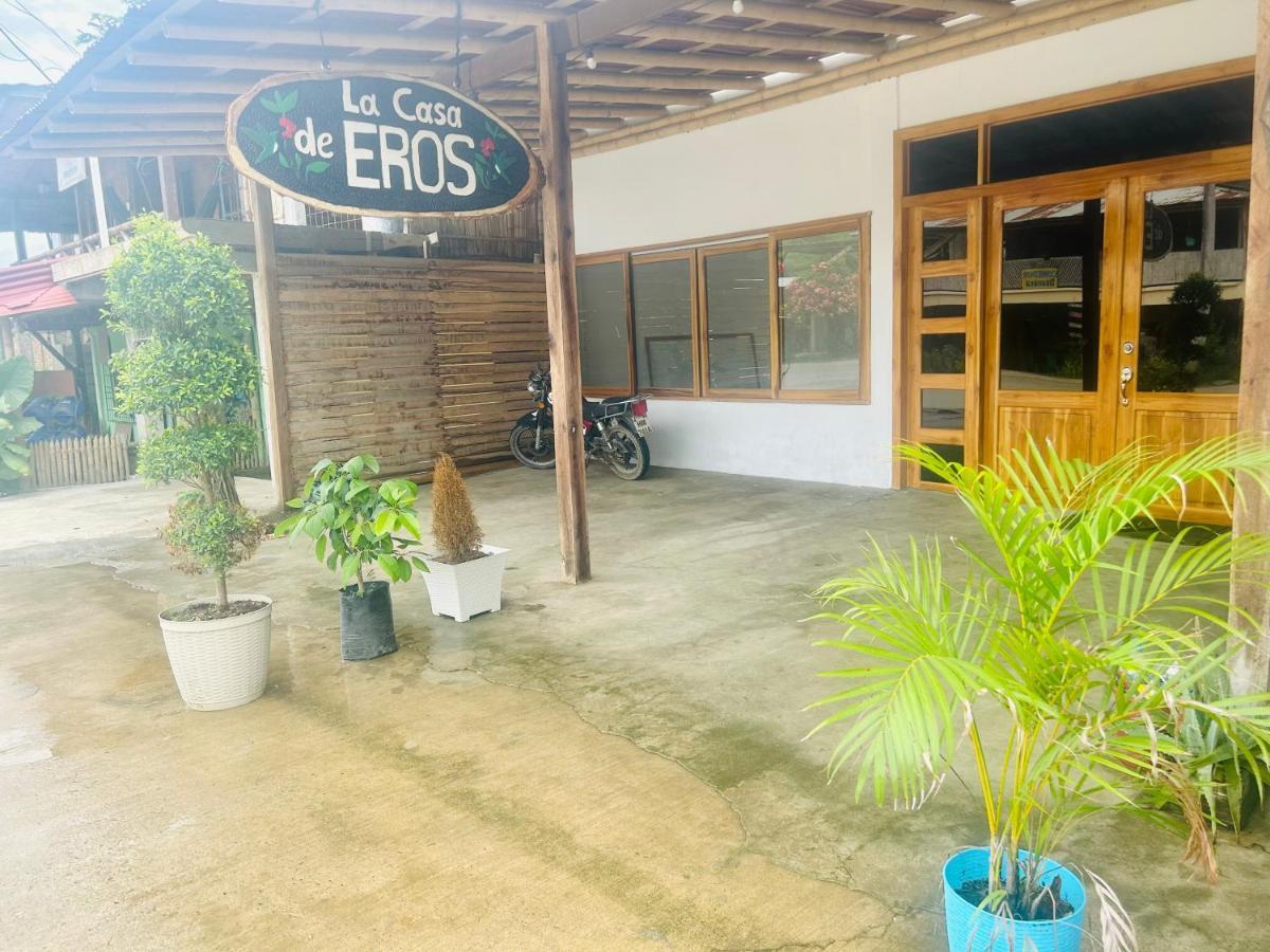 Colibri - La Casa De Eros Homestay